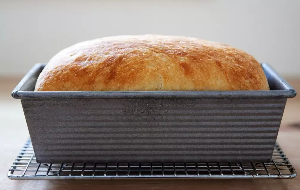 beginner bread baking