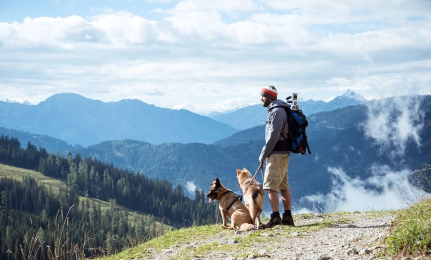 dog friendly hiking trails